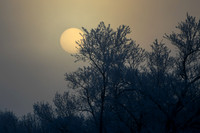 DSC_7717_edited