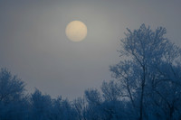DSC_7722_edited