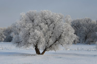 DSC_7755_edited-1