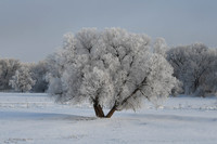 DSC_7755_edited