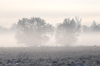 DSC_7764_edited