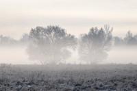 DSC_7759_edited
