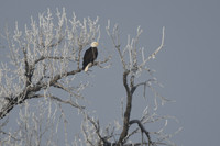DSC_7829_edited-raw