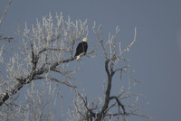 DSC_7837_edited