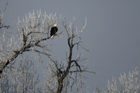 DSC_7799_edited