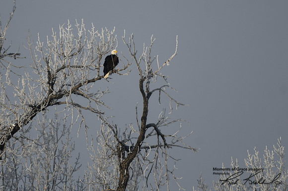DSC_7799_edited