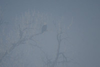 DSC_7890_edited-1