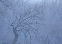 DSC_3872_edited