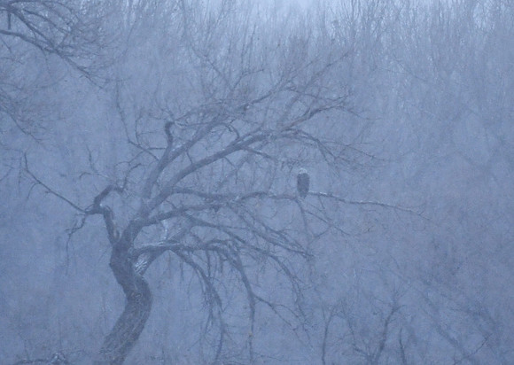DSC_3872_edited