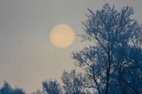 DSC_7709_edited-2