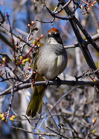 DSC_0008_edited