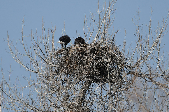 DSC_3580_edited