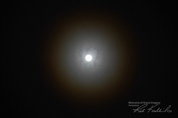 DSC_9274_edited-1