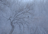 DSC_3876_edited-1