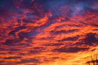 DSC_0701_edited
