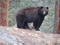 2026-05-24 - RMNP Adventure