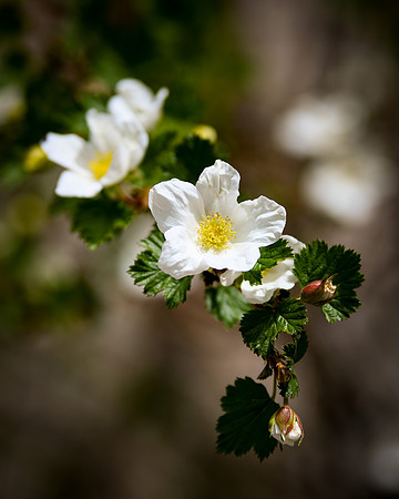 DSC_1696_edited