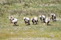 DSC_1517_edited