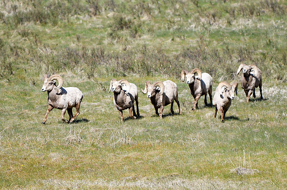DSC_1517_edited