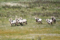 DSC_1520_edited