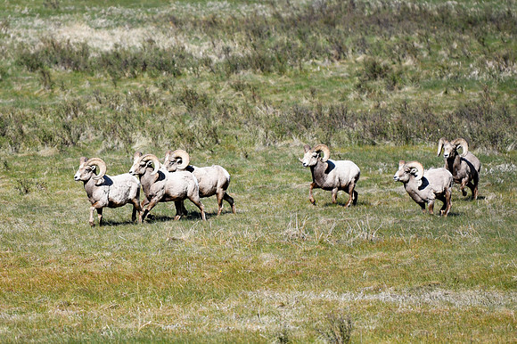 DSC_1520_edited