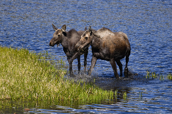 DSC_1573_edited