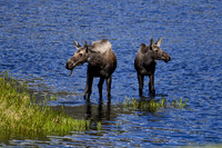 DSC_1562_edited