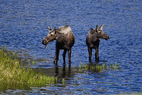 DSC_1562_edited