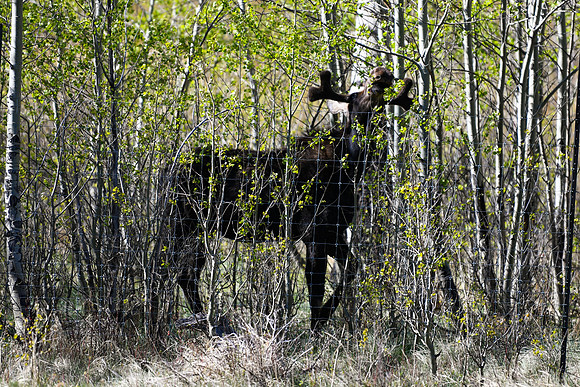 DSC_1511_edited