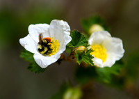 DSC_1723_edited