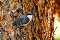 DSC_1635_edited