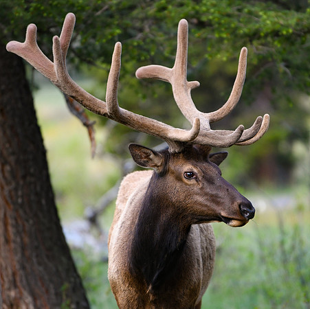 DSC_1948_edited