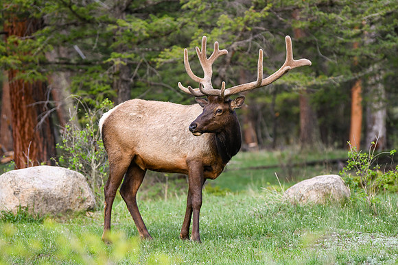 DSC_1959_edited
