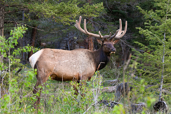 DSC_1941_edited