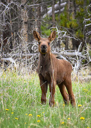 DSC_0386_edited-2