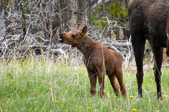 DSC_0376_edited-2