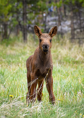 DSC_0417_edited