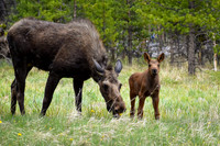 DSC_0426_edited