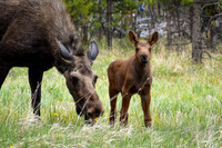 DSC_0426_edited-2