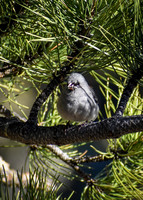 DSC_0636_edited