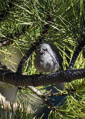 DSC_0636_edited