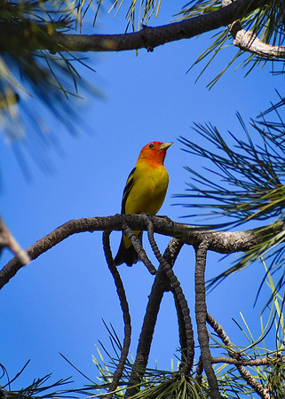 DSC_0682_edited