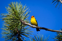 DSC_0704_edited