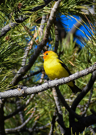 DSC_0794_edited