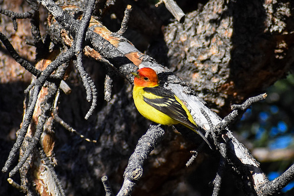 DSC_0914_edited_edited-2