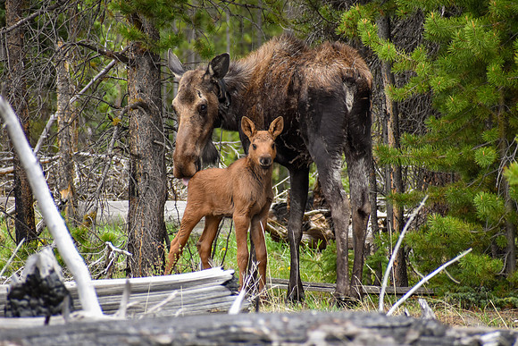 DSC_0299_edited