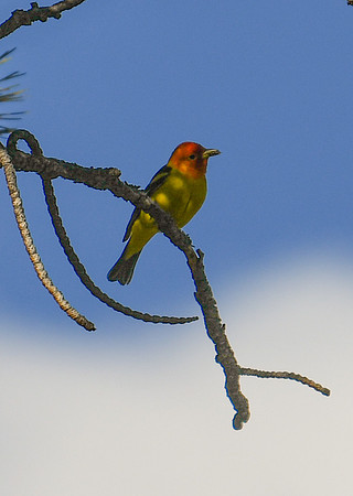 DSC_2590_edited