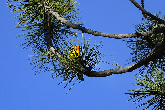 DSC_2419_edited