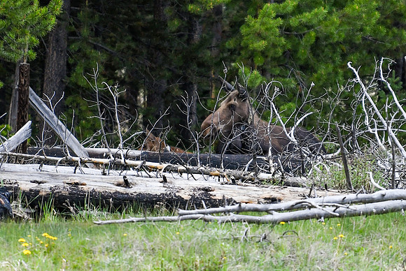 DSC_2075_edited