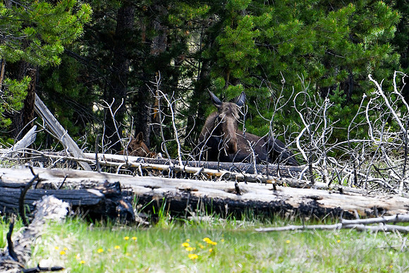 DSC_2055_edited